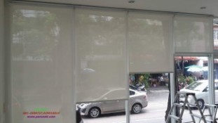 ม่านม้วน66